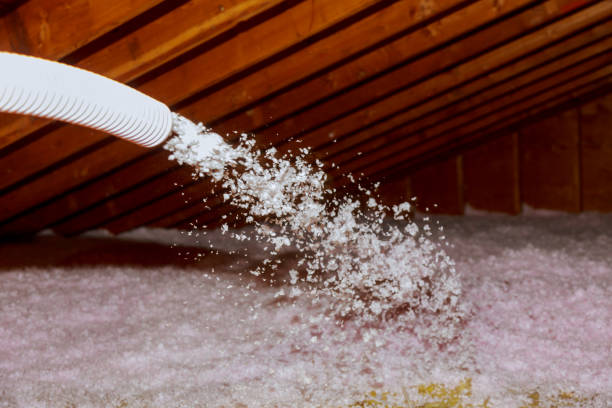 Best Blown-in Insulation in Baker, LA