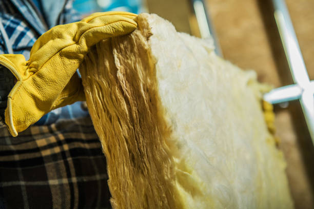 Best Cellulose Insulation in Baker, LA