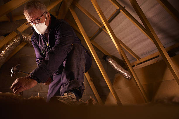 Best Insulation Maintenance and Repair in Baker, LA